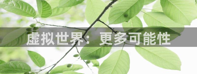 三牛娱乐是网络诈骗平台吗：虚拟世界：更多可能性