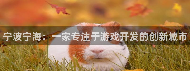 三牛娱乐负责人是谁：宁波宁海：一家专注于游戏开发的创新城市