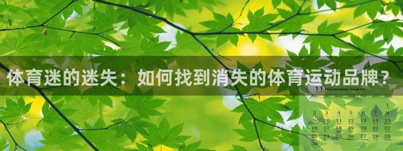 ug环球官网注册